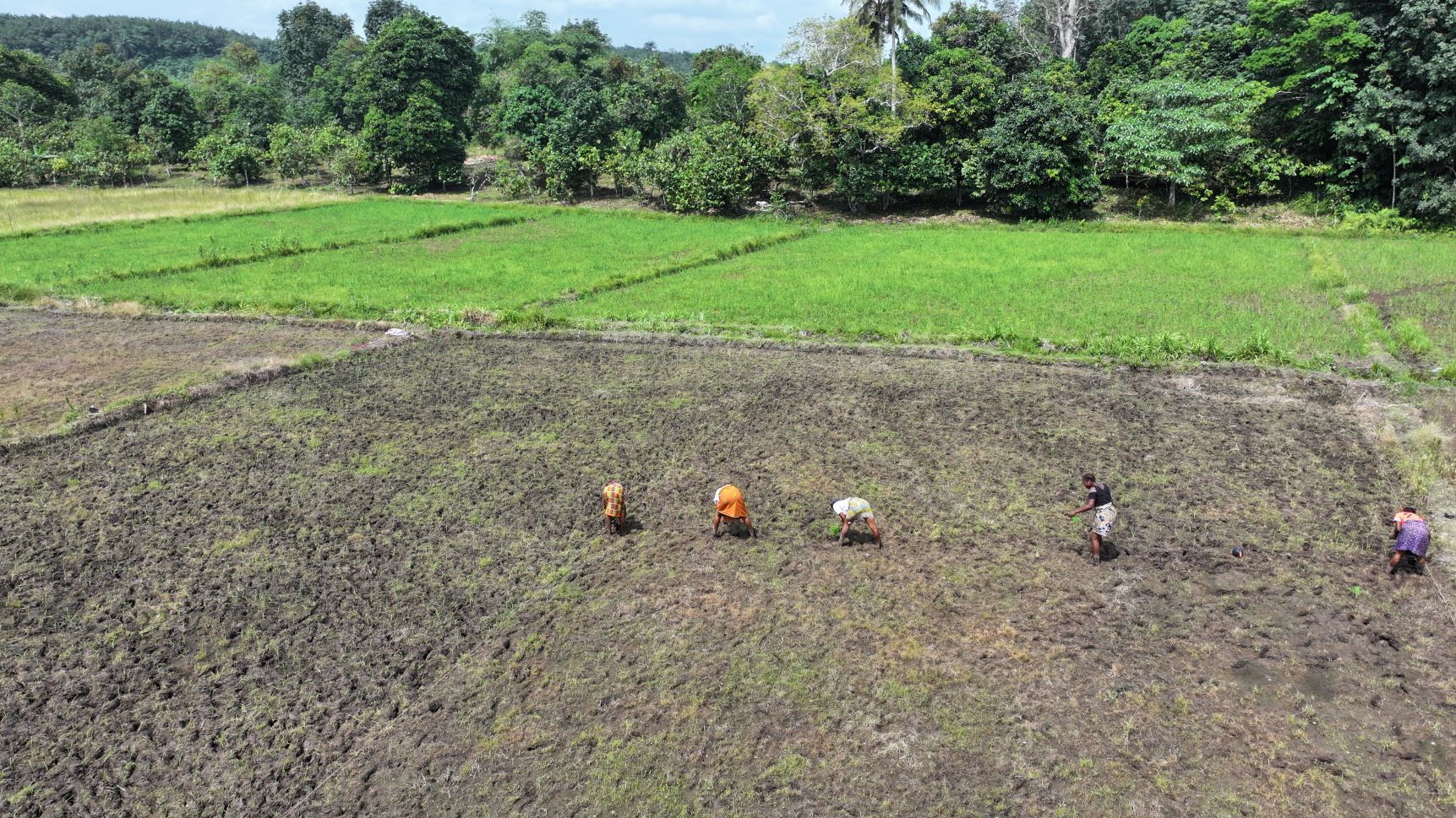 Lutte contre la pauvreté : les filets sociaux productifs améliorent la qualité de vie des femmes de Diatokro