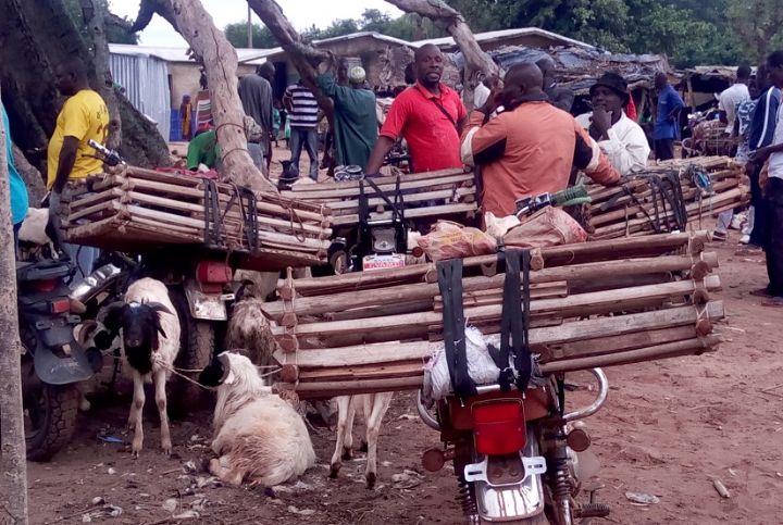 A la découverte du marché de Niamoué, véritable pôle économique de la région du Bounkani