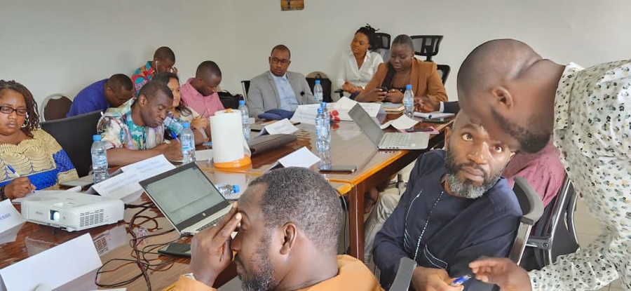 Médias et Prévention des conflits : le Comité de pilotage du projet IMPACT en Guinée et en Côte d’Ivoire fait le point