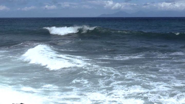 Un Sénégalais participe à une traversée de l’Atlantique à la nage