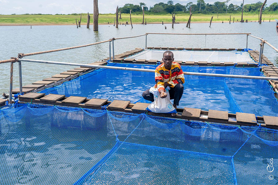 Mise en œuvre du PA-Psgouv : la mission d'évaluation satisfaite des résultats obtenus à Buyo