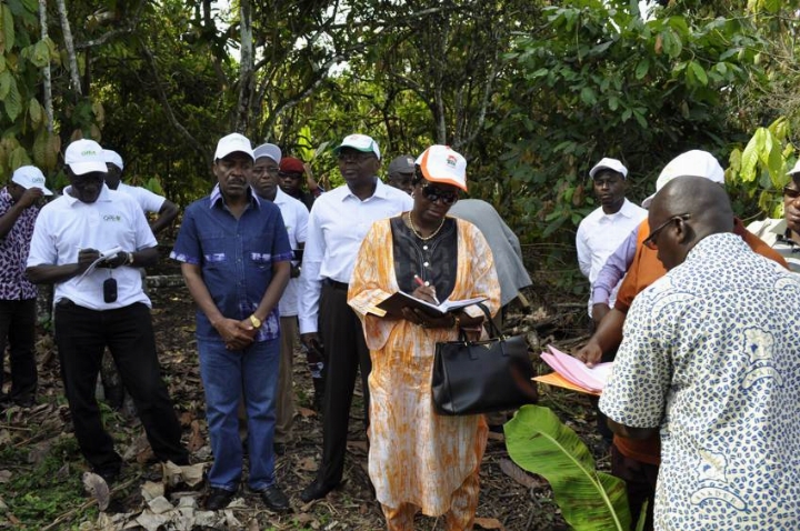 La direction générale du conseil du café-cacao évalue le firca sur le terrain