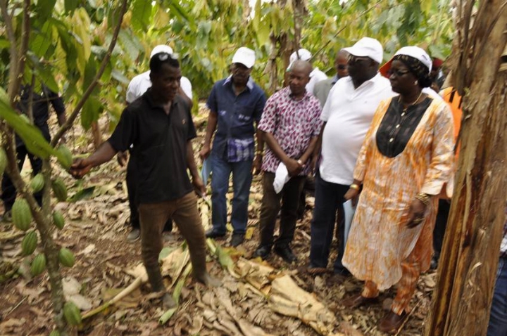Abengourou / Maurice Sawadogo à propos de la réforme de la filière café cacao : ‘‘Cette campagne a été moins contraignante’’