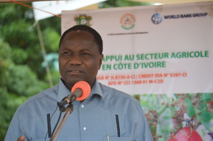 L’appel de Daoukro, une conscience collective (Sangafowa)