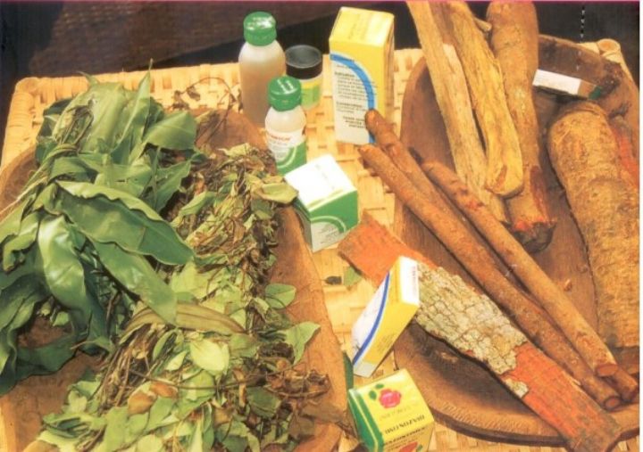 L’engagement du gouvernement à demeurer ferme dans la complémentarité de soins modernes et traditionnels