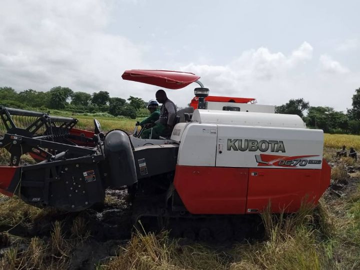 Reportage Production du riz : Dabakala, chantier de la mécanisation