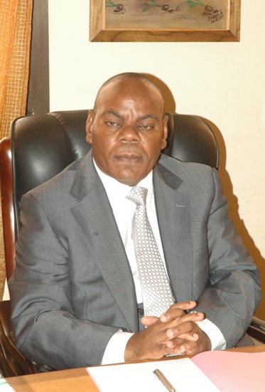 Lutte contre l`exploitation forestière abusive