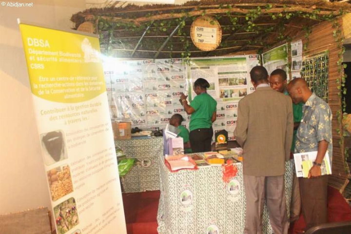 Résultats d’une étude scientifique : Les chimpanzés et les hommes ont les mêmes comportements