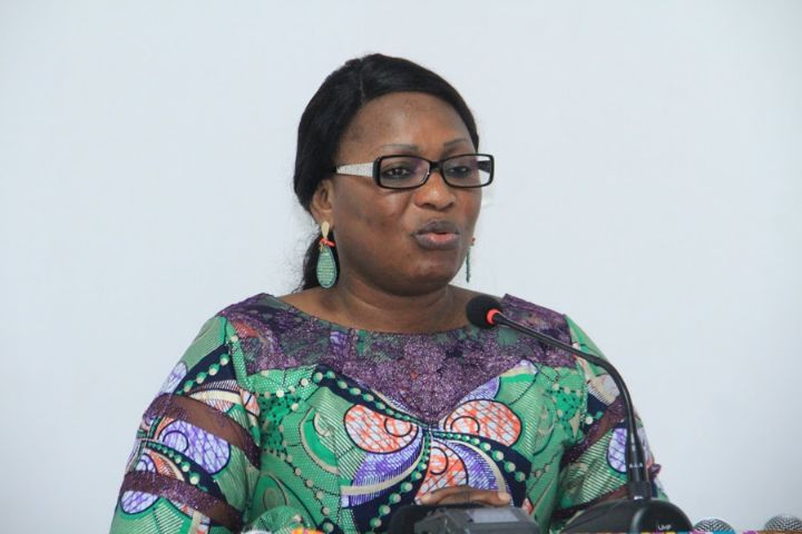 Législatives : déclaration du Conseil national des droits de l’homme sur le processus électoral