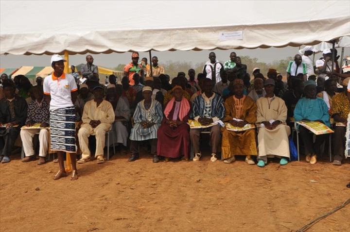 Production de la banane : 21.000 tonnes attendues d’ici à 2019 dans le nord du pays