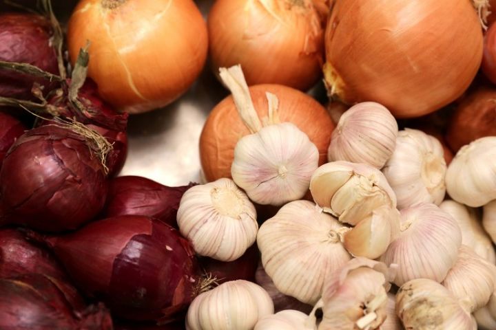 Filière oignon : Les acteurs créent un outil de lutte