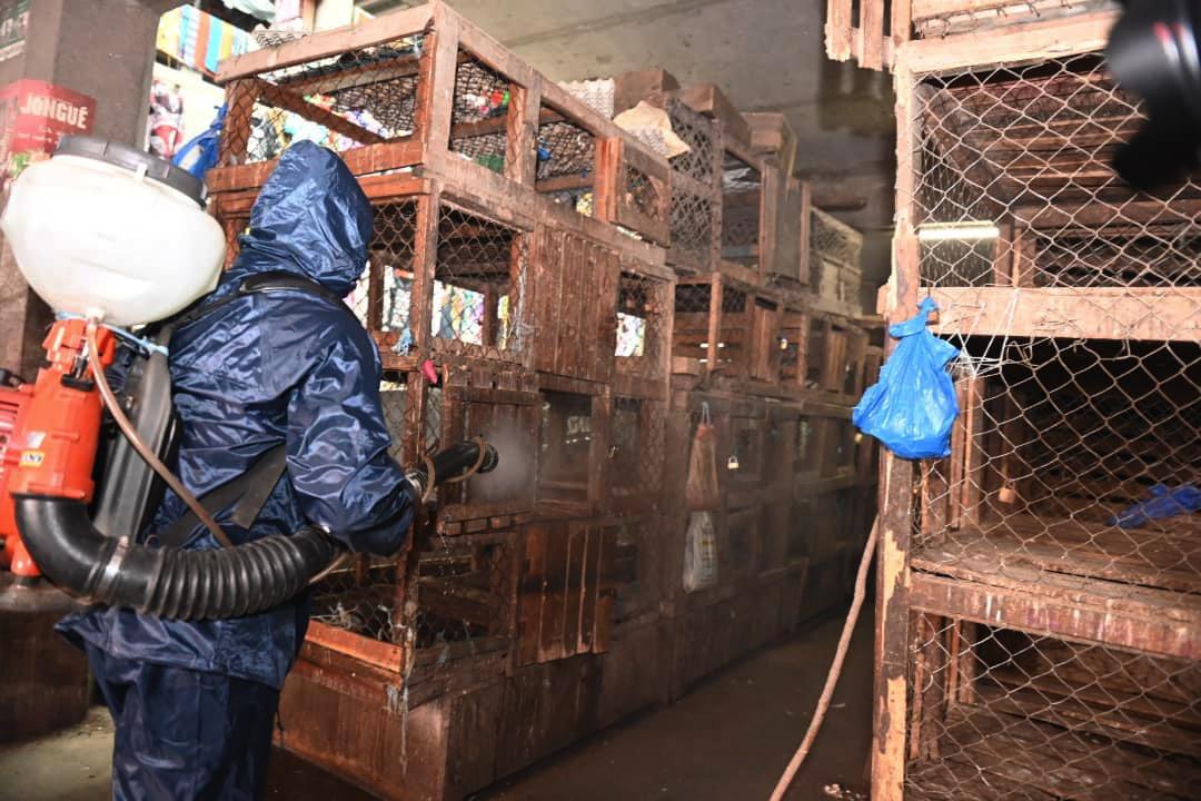 Opération de désinfection des marchés à volailles du district d’Abidjan désinfectés