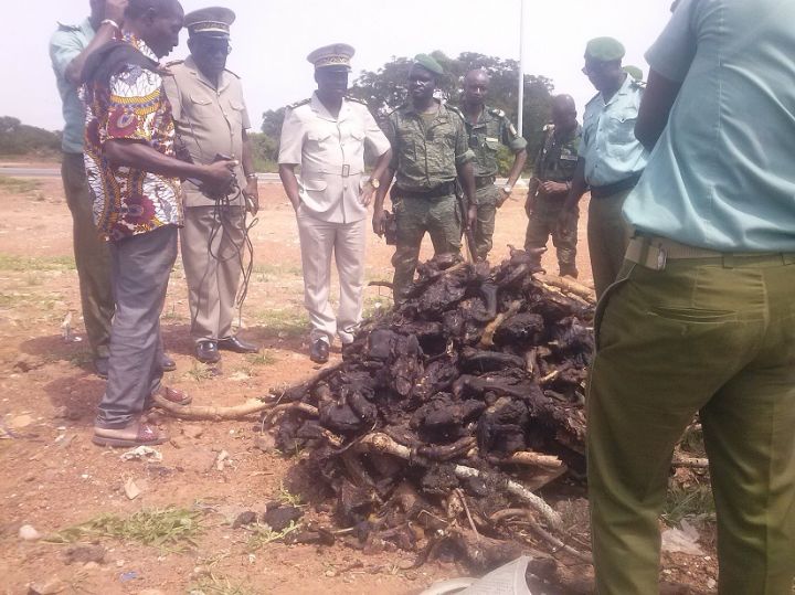 Côte d’Ivoire/ De la viande boucanée incinérée à Ouangolodougou