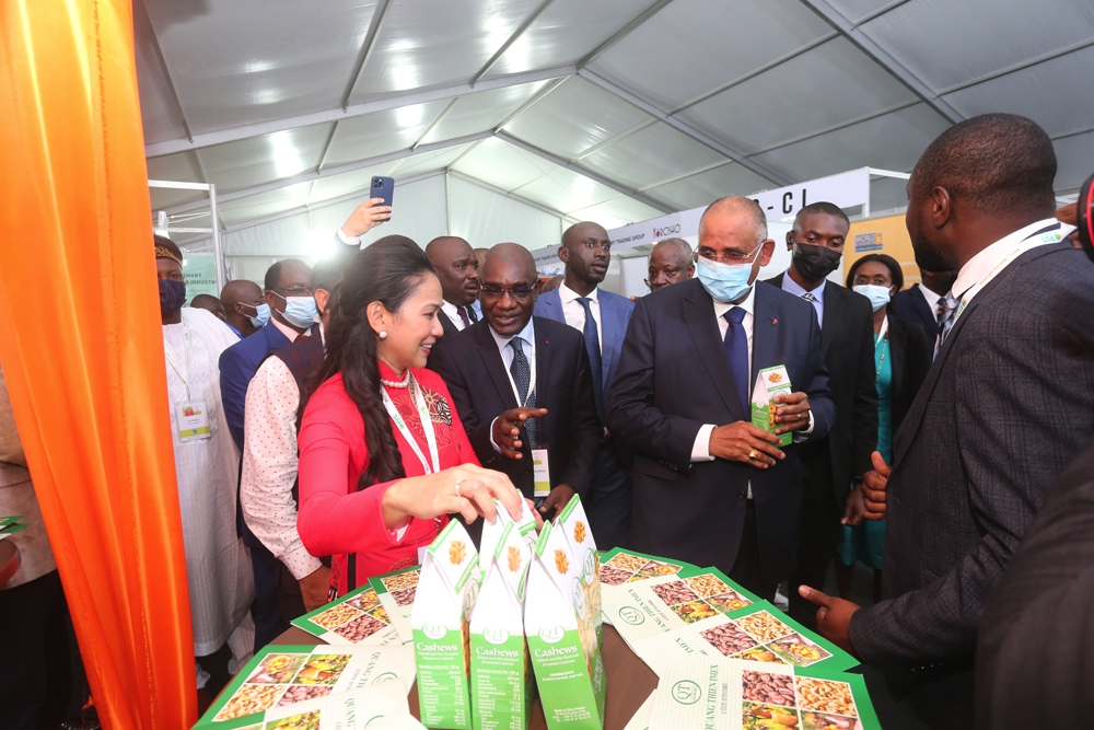 Le cajou, 2e produit d'exportation de la Côte d'Ivoire après le cacao