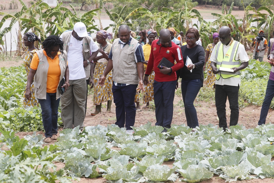 PA-PsGouv : la Coordination générale et la délégation de la BAD sur des sites maraîchers et des poulaillers en construction à Korhogo