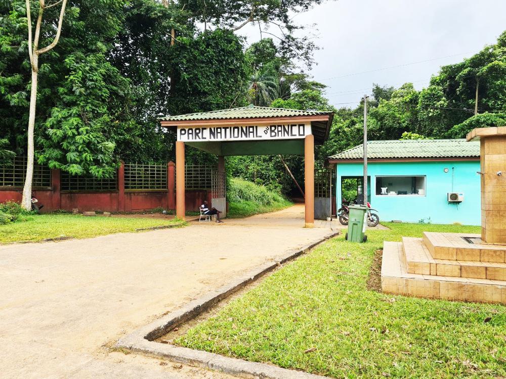 Parc national du Banco : une véritable réserve de biodiversité au cœur d’Abidjan