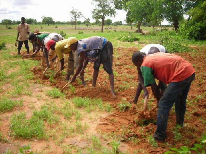 Solibra soutient agripreneurs à travers le Prix Pierre Castel