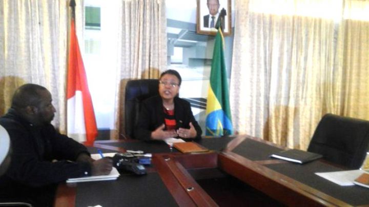 Les groupes rebelles et les dissidents vivants à l’étranger accusés d’être responsables des violences en Ethiopie