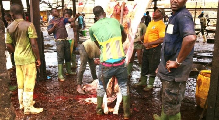 Abattoir de Port –Bouet/ Ravitaillement des marchés en viande de boucherie :Le transport dans de mauvaises conditions