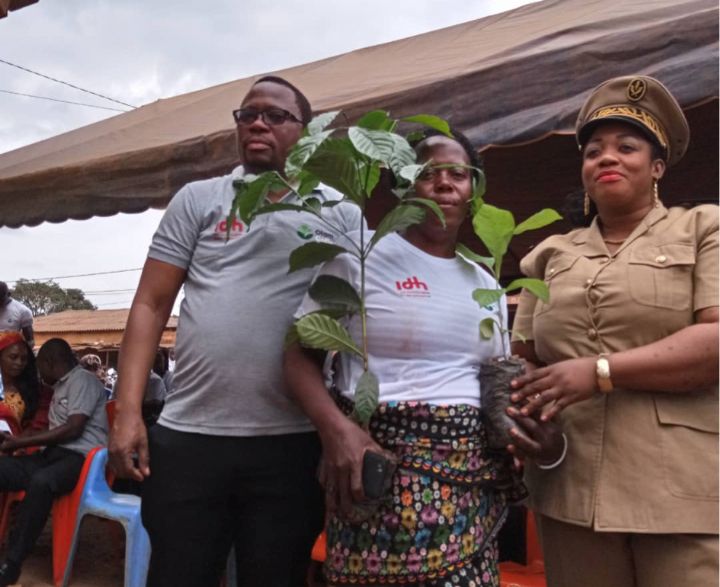 OLAM fait don de 570 000 jeunes plants de café à haut rendement a 1000 paysans à travers 20 coopératives