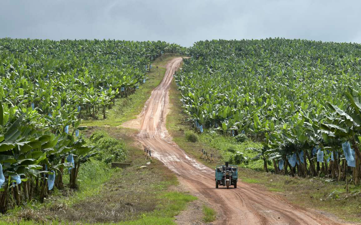 La politique de la souveraineté alimentaire, au centre de la conférence de presse