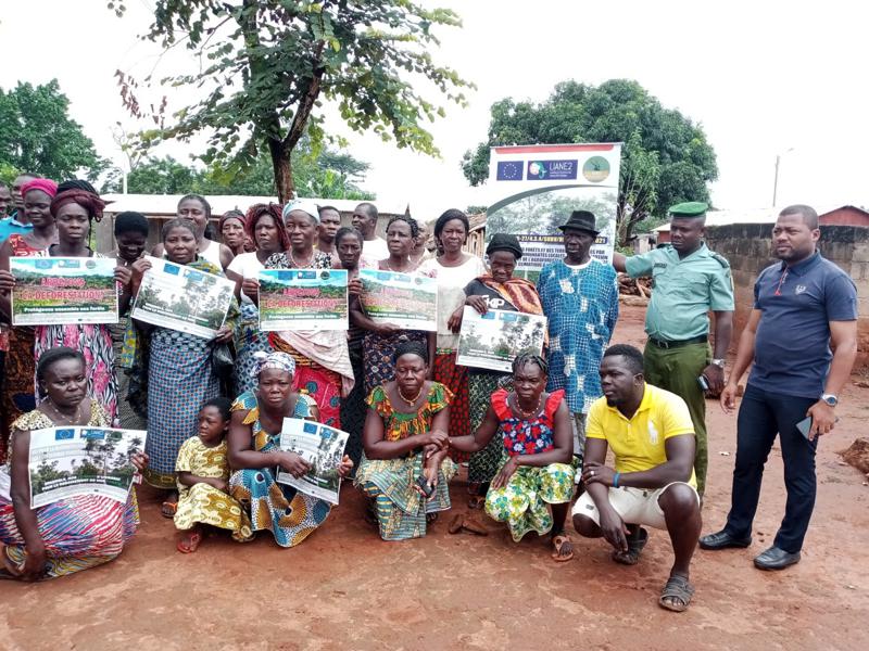 Plus de 25 000 arbres plantés par les producteurs agricoles à Vavoua