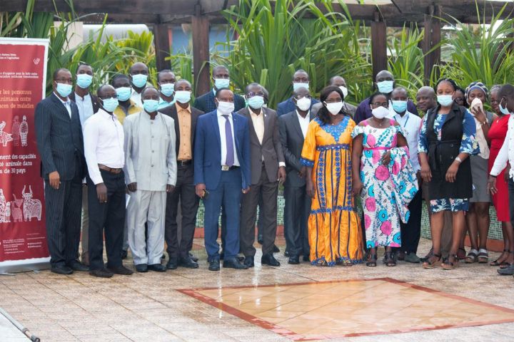 Nord ivoirien: plus de 200 millions Fcfa pour éradiquer la Peste porcine africaine en 2021