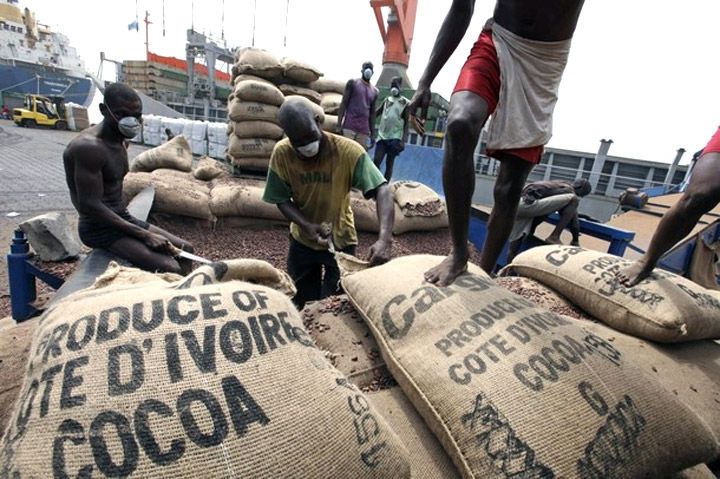 Côte d’Ivoire [Série]: Coup de pouce du prix payé aux planteurs de cacao