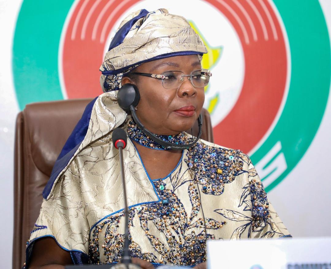 Appuis De La CEDEAO Aux Etats Membres Pr Fatou Sow Sarr M me En 