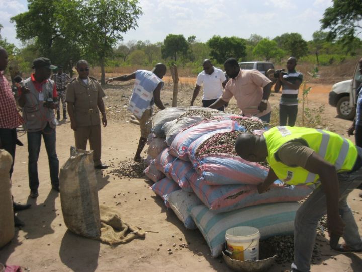 Kong- Frontière Fakolo/ Fuite de la noix de cajou: La brigade mixte du conseil du coton et anacarde veillent au grain
