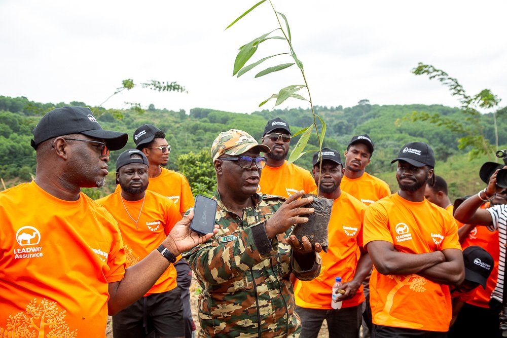 Environnement : Leadway Assurance plante 625 arbres pour contribuer à la restauration de la réserve d’Aghien
