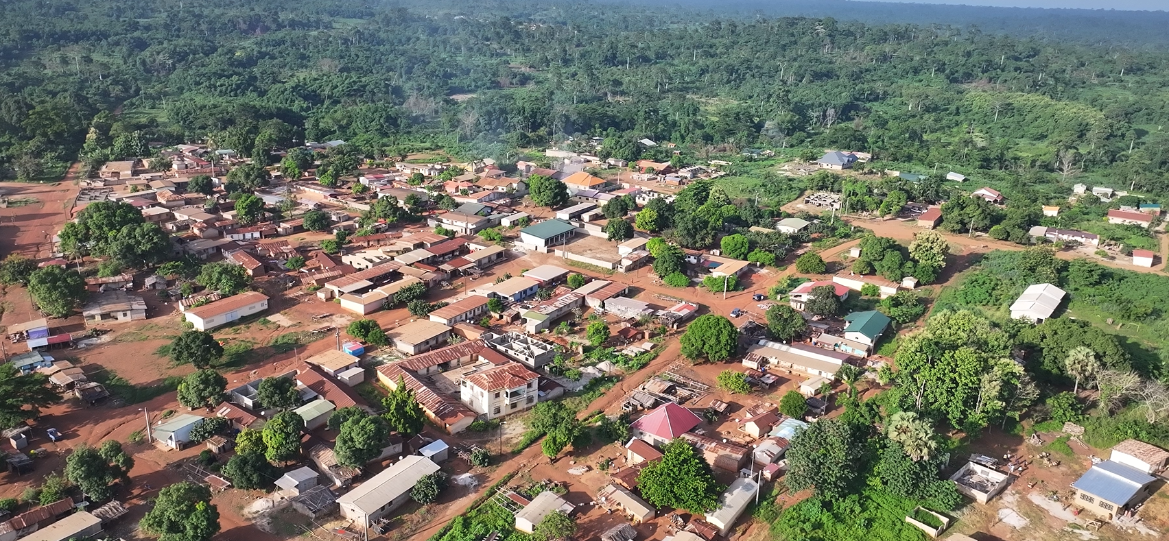 Préservation du patrimoine forestier : le gouvernement participe à la protection des forêts classées