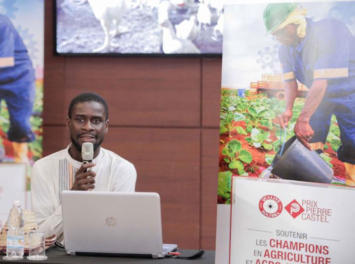 Publi-reportage : Daniel OulaÏ, vainqueur du prix Pierre Castel de Solibra