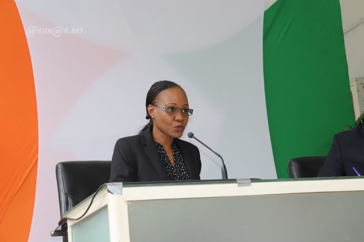 Régionales 2018 : La CEI annule l’élection des conseillers régionaux dans le département de Facobly  et annonce la reprise du scrutin dans un délai d’un mois