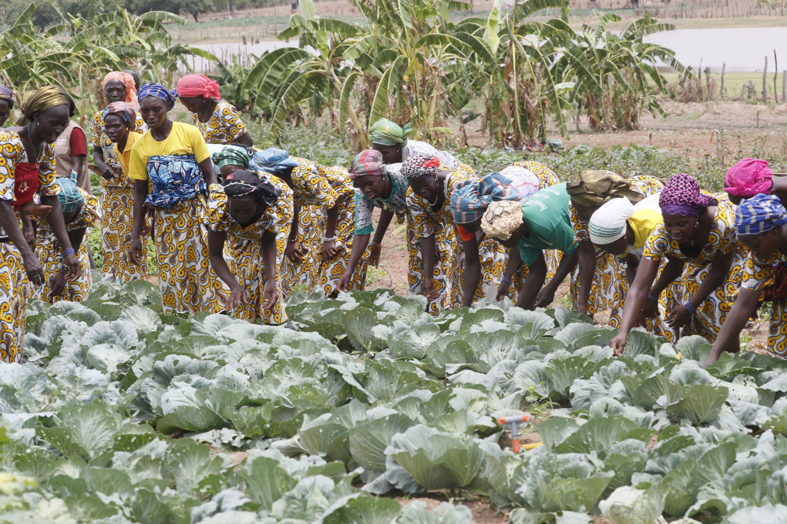 PSGouv 2 : des résultats visibles contribuant à l’amélioration des conditions de vie des ménages sur l’ensemble du territoire