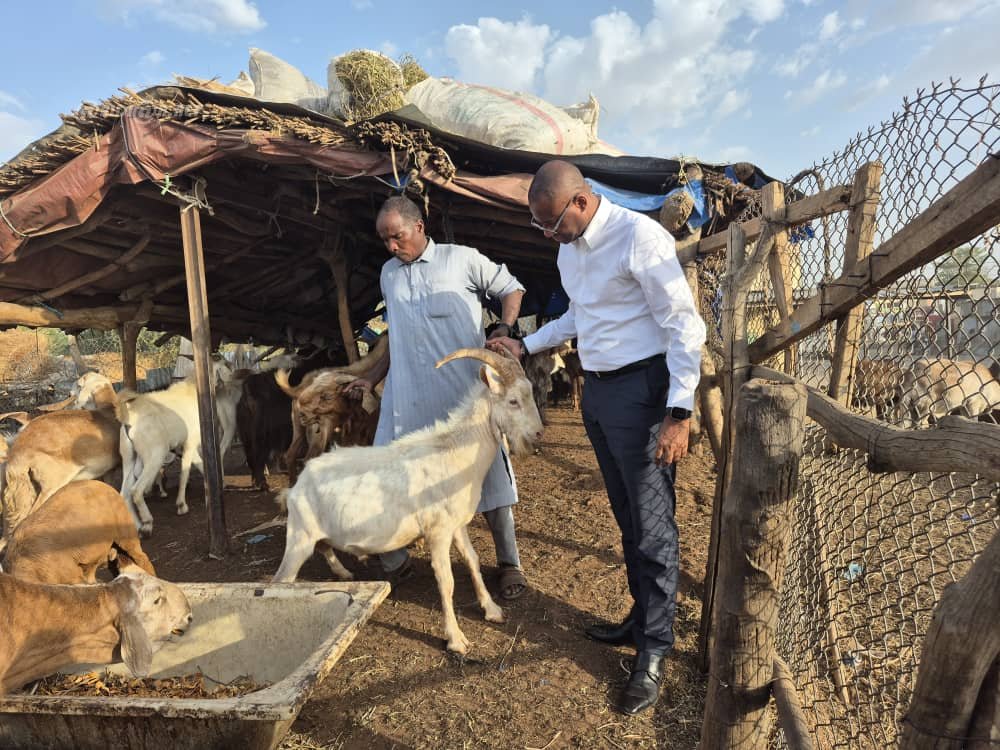 Renforcement de l'Approvisionnement en Bétail : le Ministre Sidi Tiémoko Touré en mission stratégique au Tchad