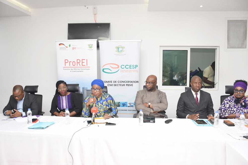 Renforcement du dialogue public-privé : le CCESP et la GIZ présentent les résultats de l'inventaire national des Associations et Organisations professionnelles (AOP)