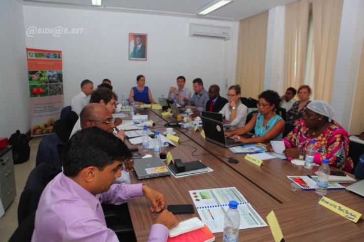 Réforme de la filière anacarde, Industrialisation… L’Ica félicite le Conseil Coton Anacarde