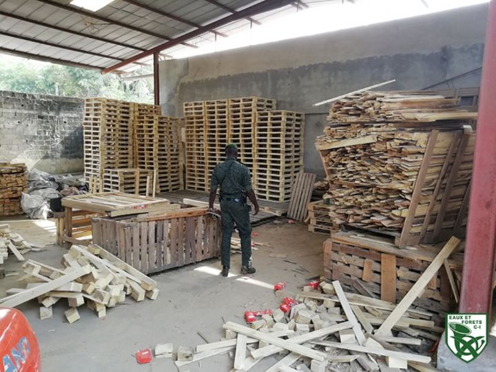 Importante saisie de bois d’origine illégale par les éléments de la DPIF du ministère des eaux et forets