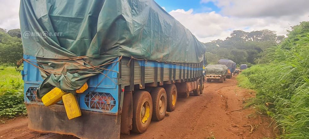 Saisie record : 33 camions de cacao interceptés dans le Bafing par les douanes ivoiriennes