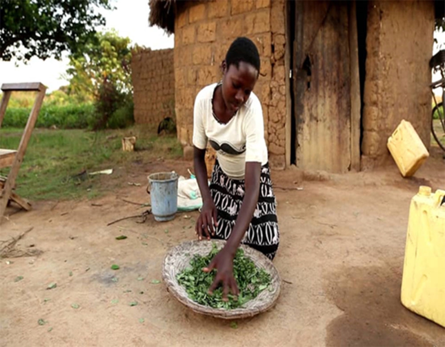 Santé : les parasites et le déficit en vitamine B12 facteurs de risque les plus élevés d’anémie chez les adolescentes de 10 à 19 ans (Etude)