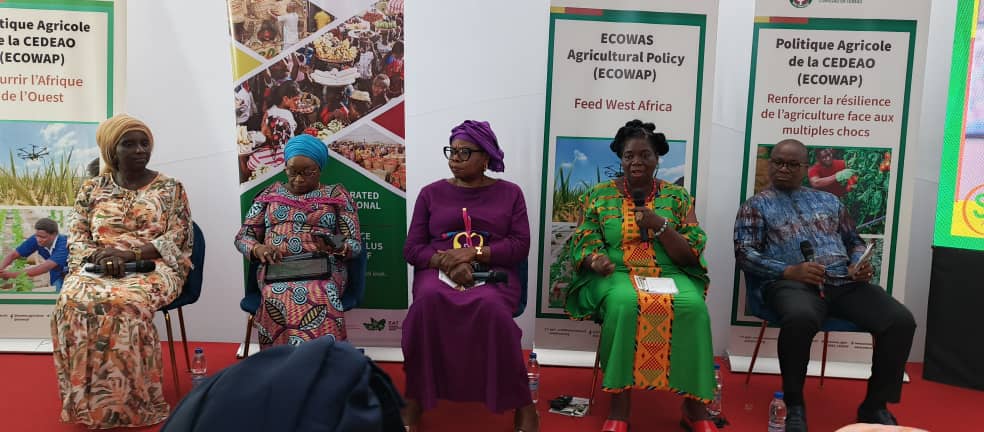 SARA 2025 : La CEDEAO étale son programme Rizicole pour anticiper sur une échéance en production à  l'horizon 2035