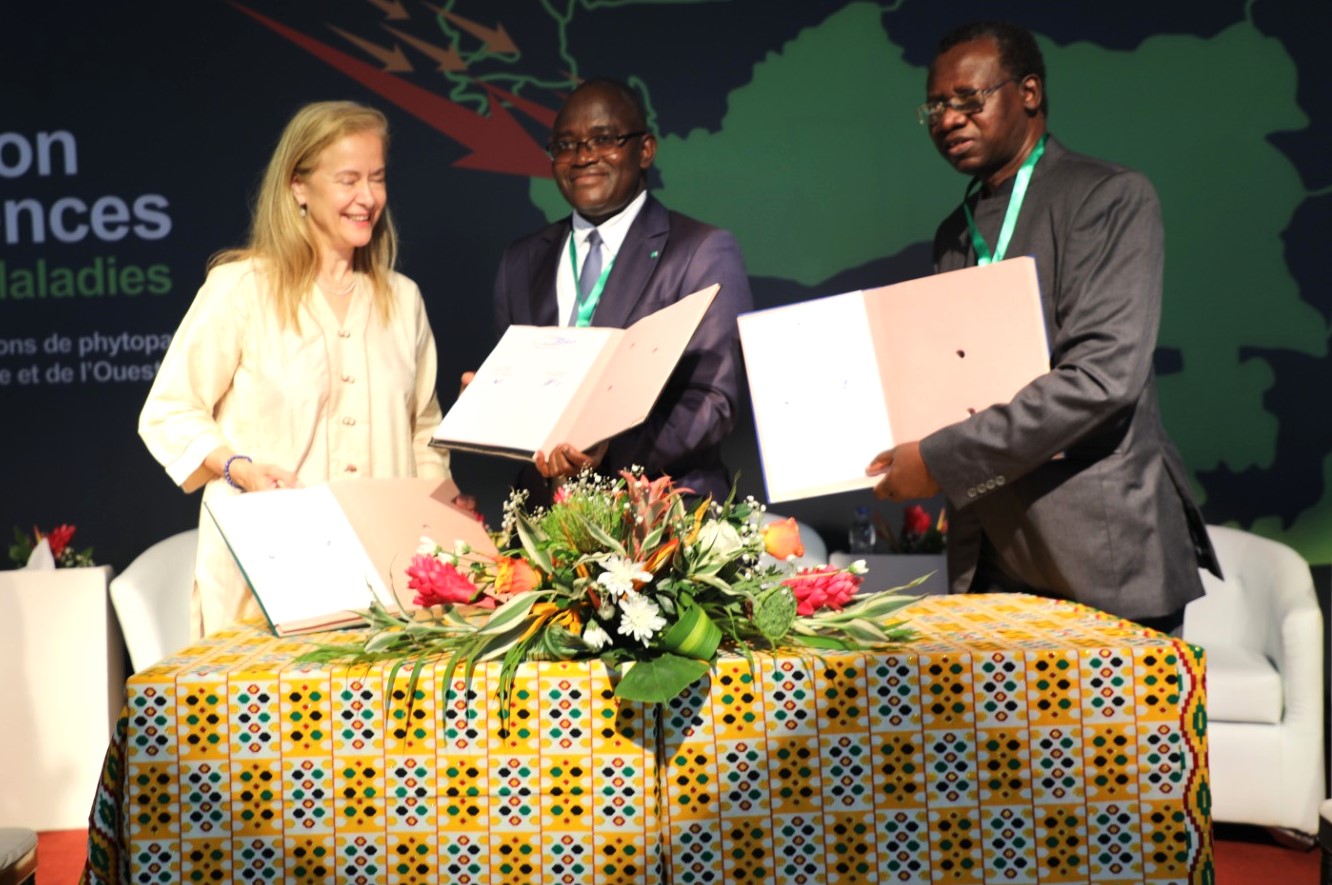  Sécurité alimentaire : Un dialogue politique et technique de haut niveau sur la certification des semences exemptes de maladies s'ouvre à Abidjan