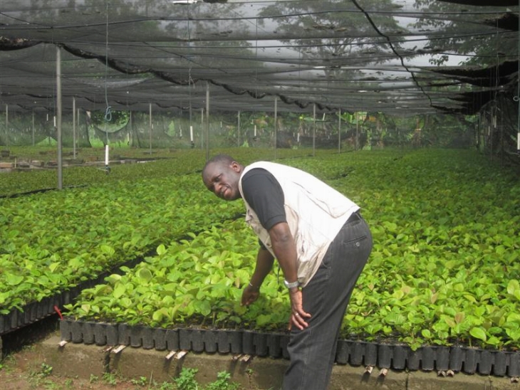 Incroyable : Dans le dos du Chef de l’Etat, La SODEFOR offre 20 milliards à un Italien et 6 millions à l’Etat