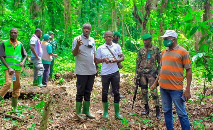 Protection des forêts classées : la Sodefor rassure les populations de Bossematié (Abengourou)