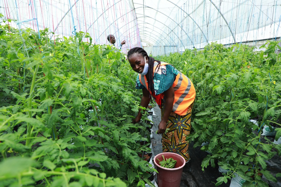 Soutien aux PME : Tout savoir sur la politique d'accompagnement et de promotion des Petites et moyennes entreprises, ce mardi 29 juillet