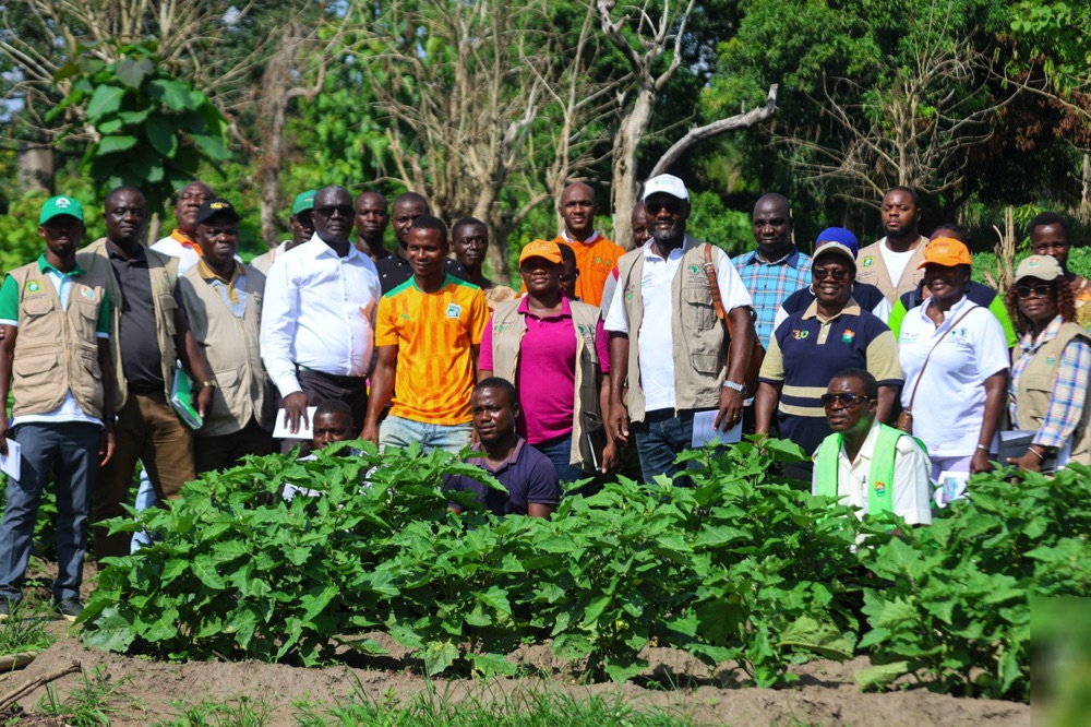 Souveraineté alimentaire : le PA-Psgouv et l’ANADER renforcent les capacités des producteurs de maraîchers de Béhoukro (Djébonoua)