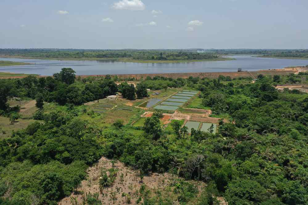 Station piscicole de la Loka : Un maillon essentiel dans la stratégie de développement de l’aquaculture en Côte d'Ivoire