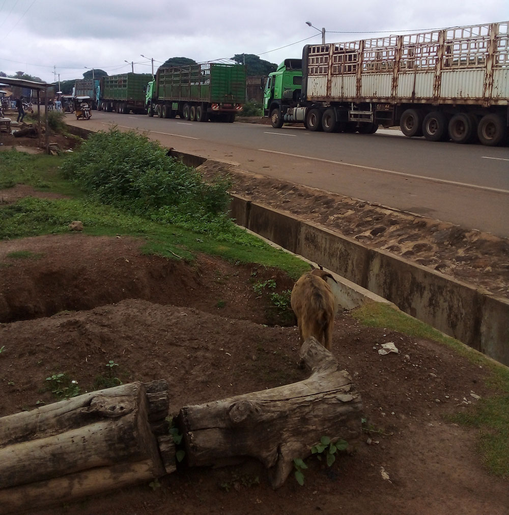Tengrela : un couvre feu de trois (3) jours instauré de 18h à 6h du matin, suite à la mort d'un conducteur de tricycle tué par un policier