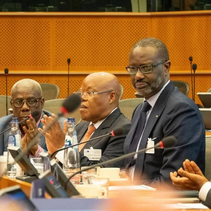 Situation sociopolitique: Bruxelles aux couleurs de la Côte d’Ivoire